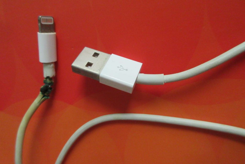 iPadが充電されないペットダメージ