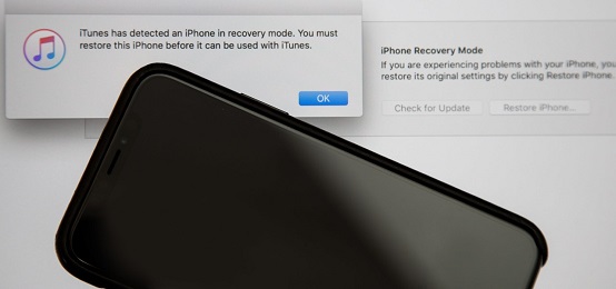   DFUモードでiPhoneを復元します。