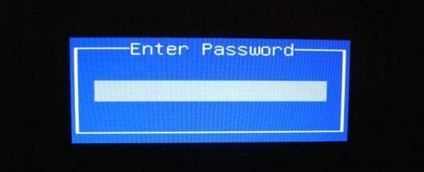 パスワードを入力します